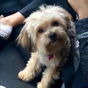 Meet your Posher, Stacy